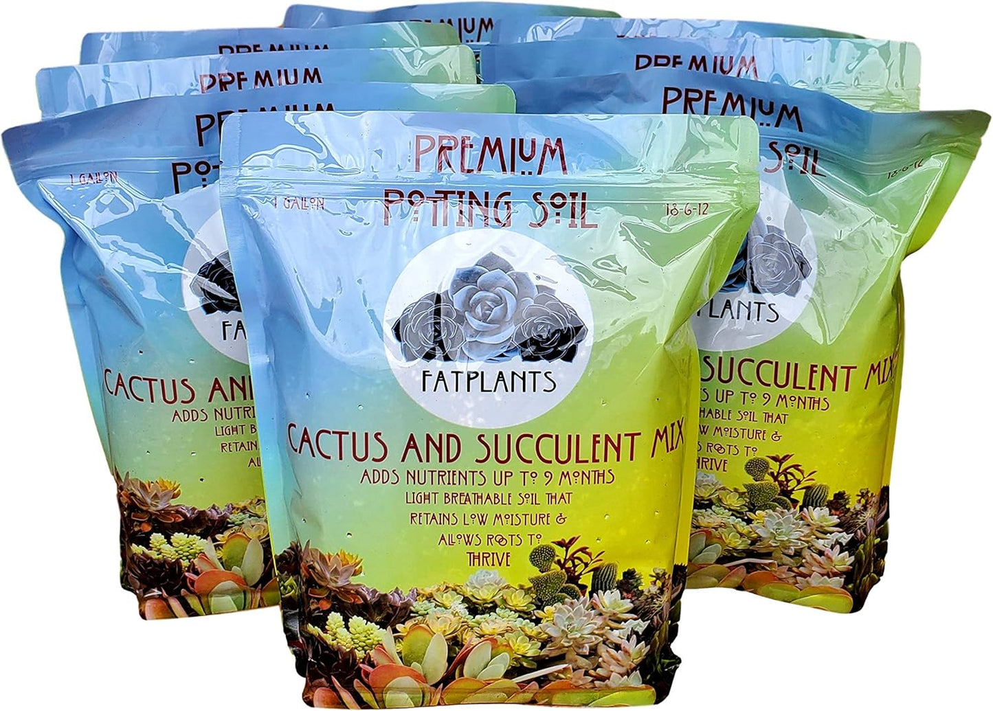 Premium Cacti and Succulent Potting Mix Soil for Thriving Plants