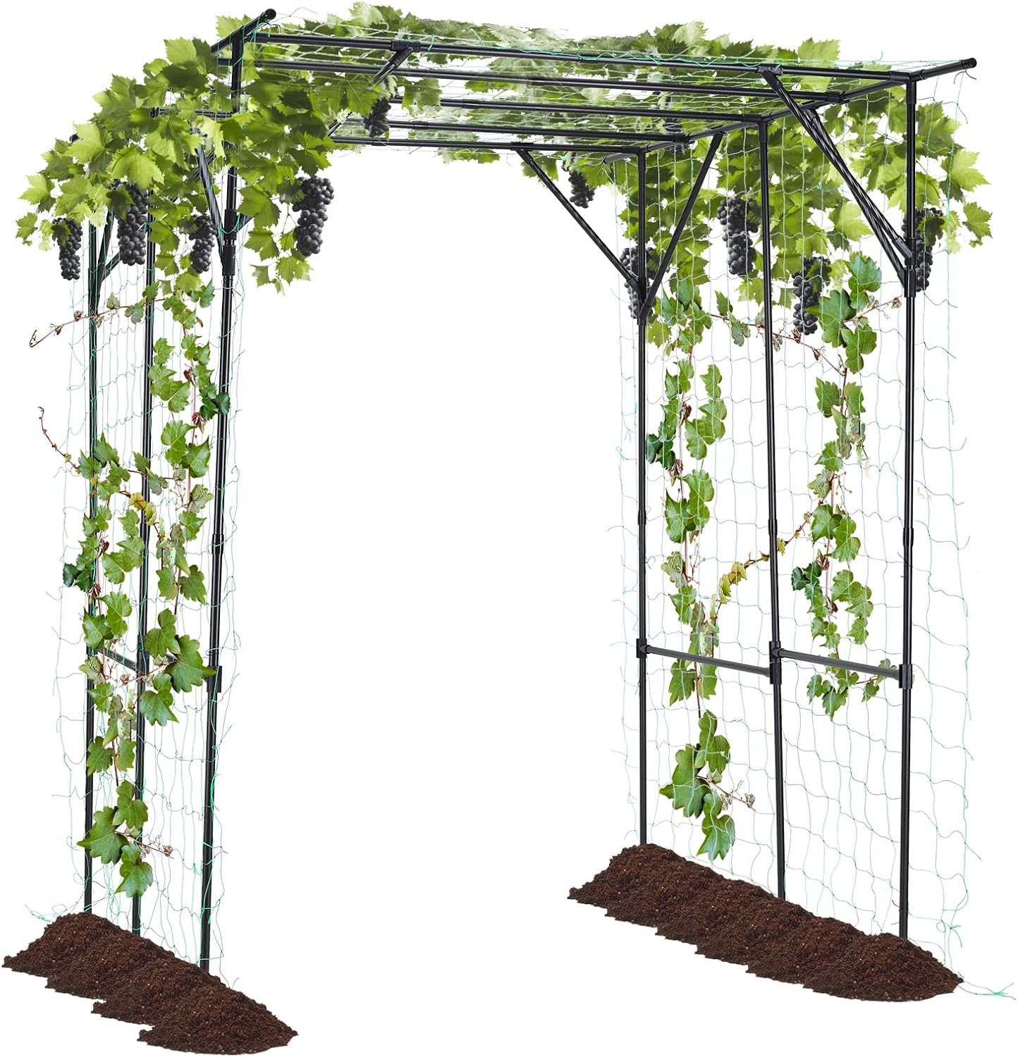 Grape Vine Garden Trellis for Climbing Plants and Vegetables