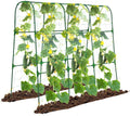 Garden Arch Trellis for Climbing Plants Outdoor - Stable Arch Support
