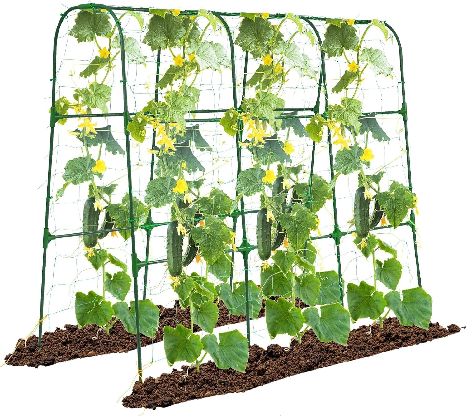 Garden Arch Trellis for Climbing Plants, 50x48 inch Support