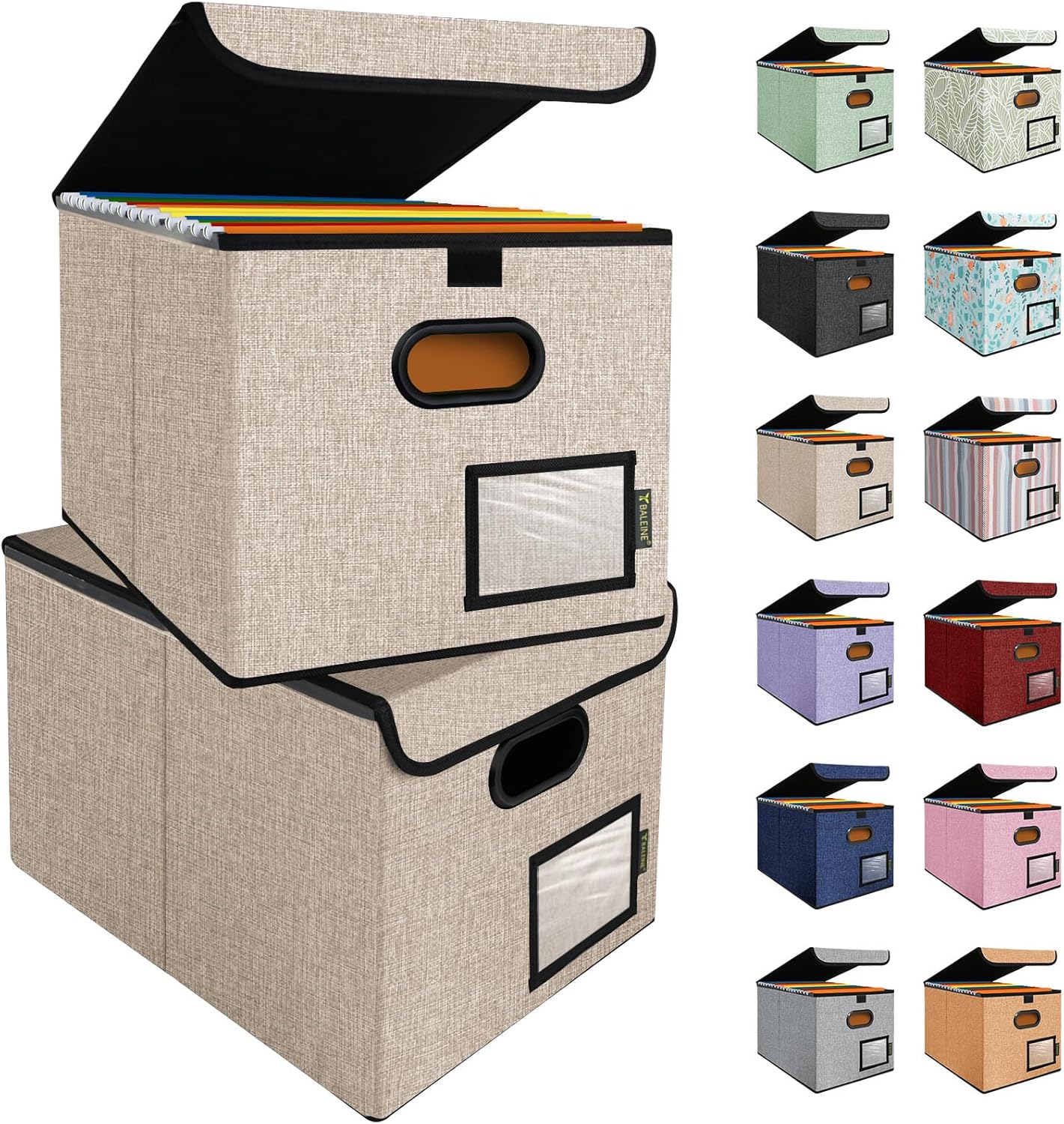 BALEINE File Organizer Box with Lid for Efficient Document Storage