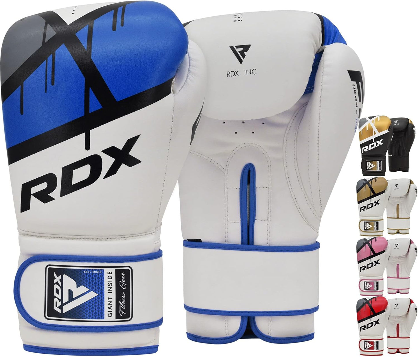 RDX EGO Boxing Gloves for Sparring and Heavy Training Sessions