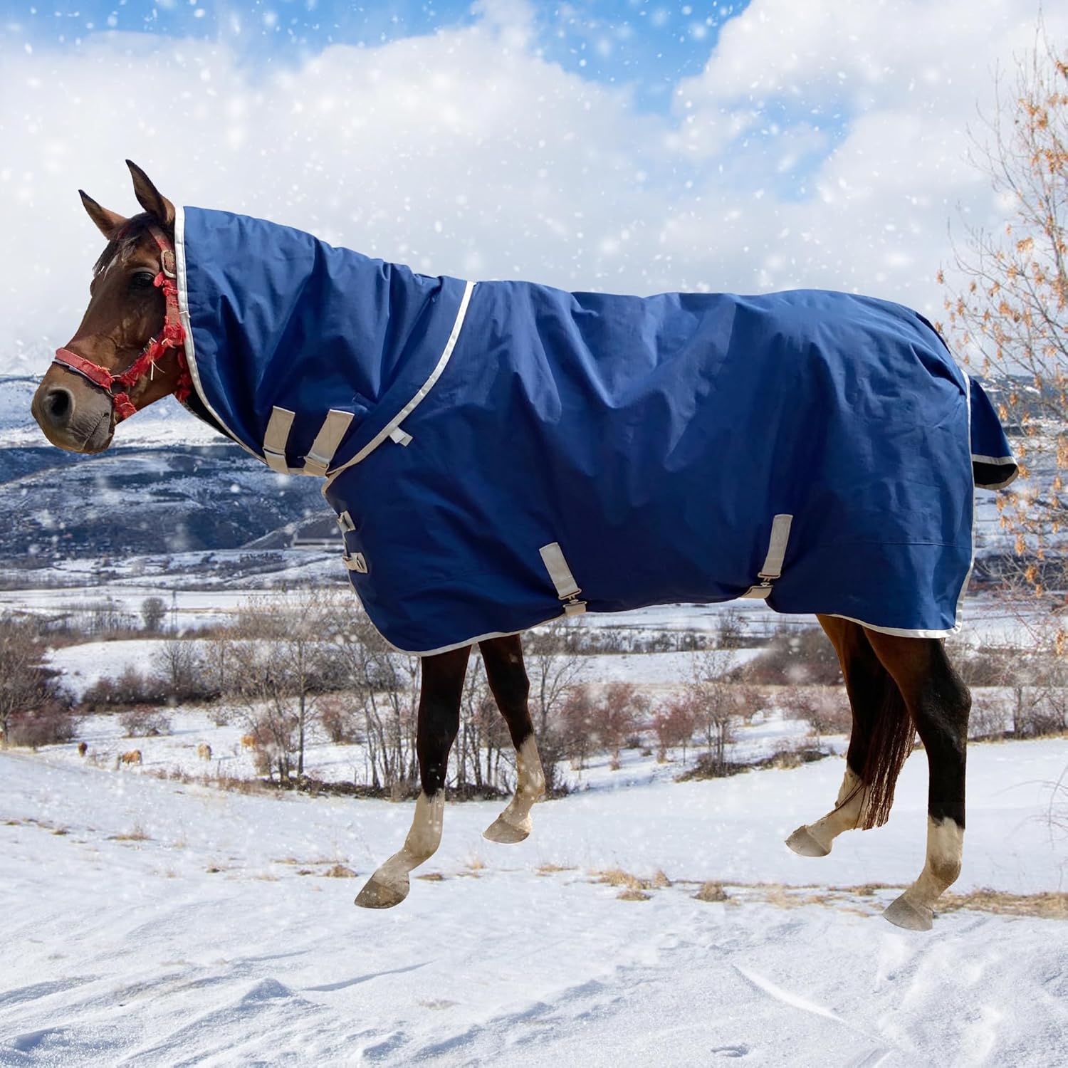 Jranter Waterproof Horse Blanket w/ Detachable Neck Cover