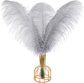 Gray Ostrich Feathers 12pcs 20-22in Natural Bulk - Elegant