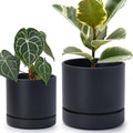 Phoenix Vine Planter Set 6 in and 8 in - Matte Black pots with Trays