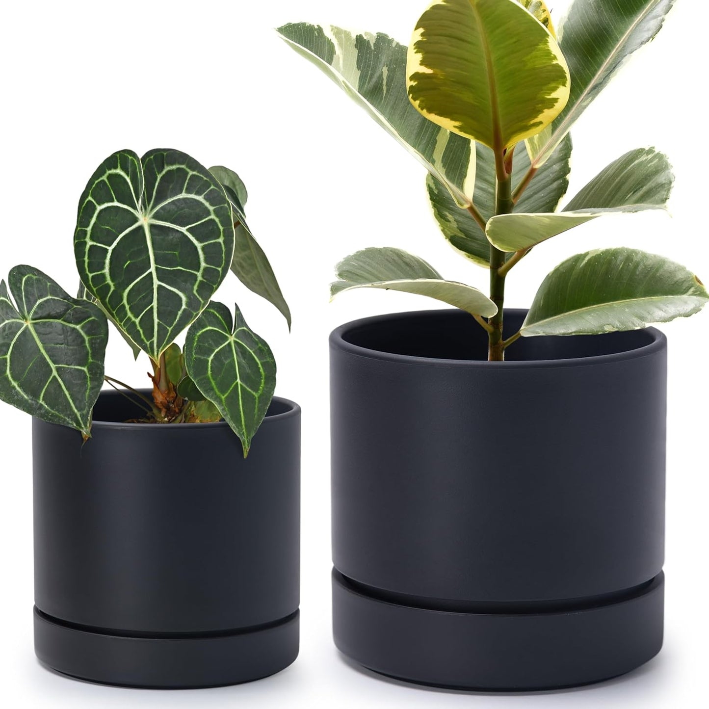 Phoenix Vine Planter Pot Set with Drainage Hole and Tray