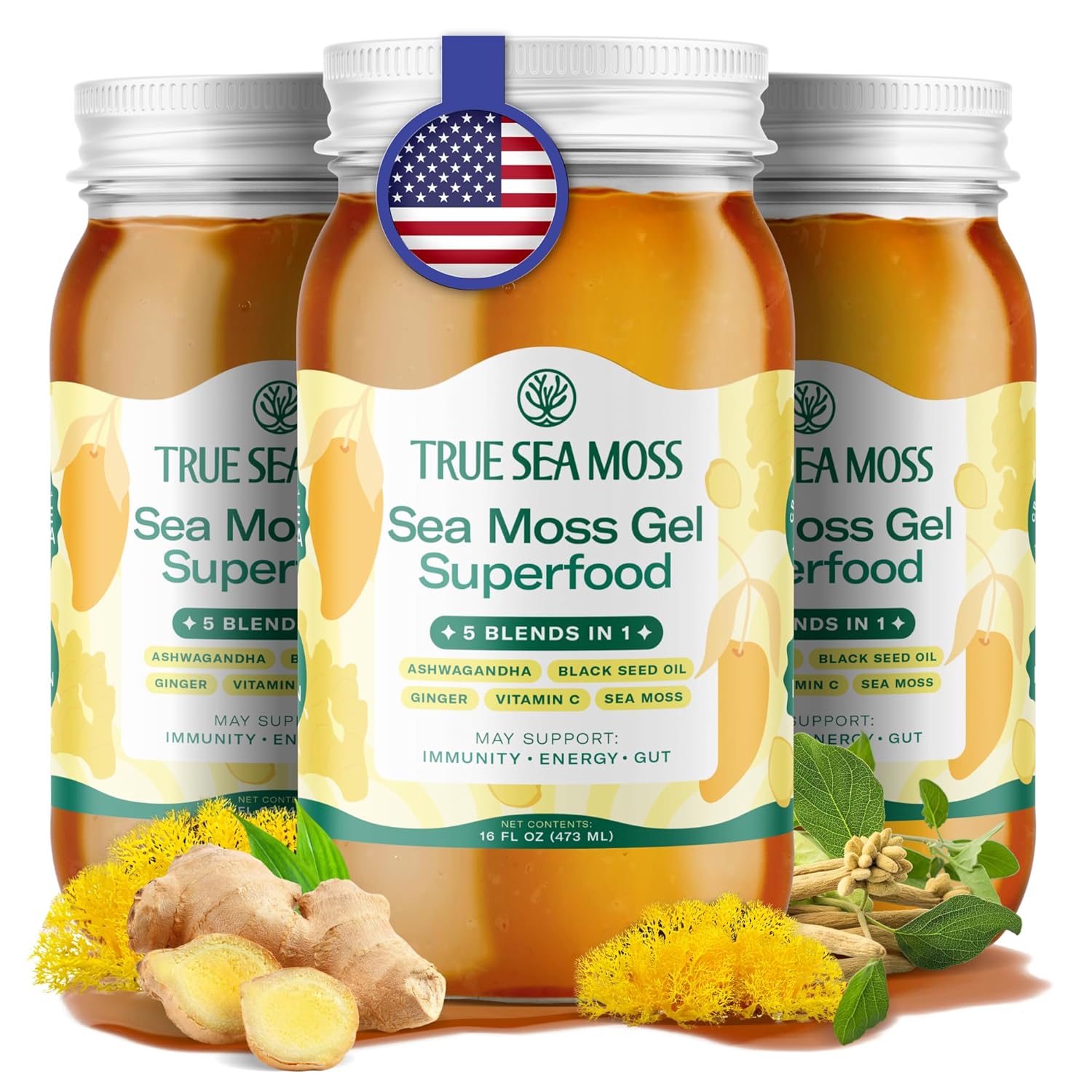 TrueSeaMoss Sea Moss Gel 5-in-1 Formula for Daily Wellness