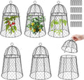 6 Pack Garden Cloches for Plants - Sturdy Chicken Wire Plant