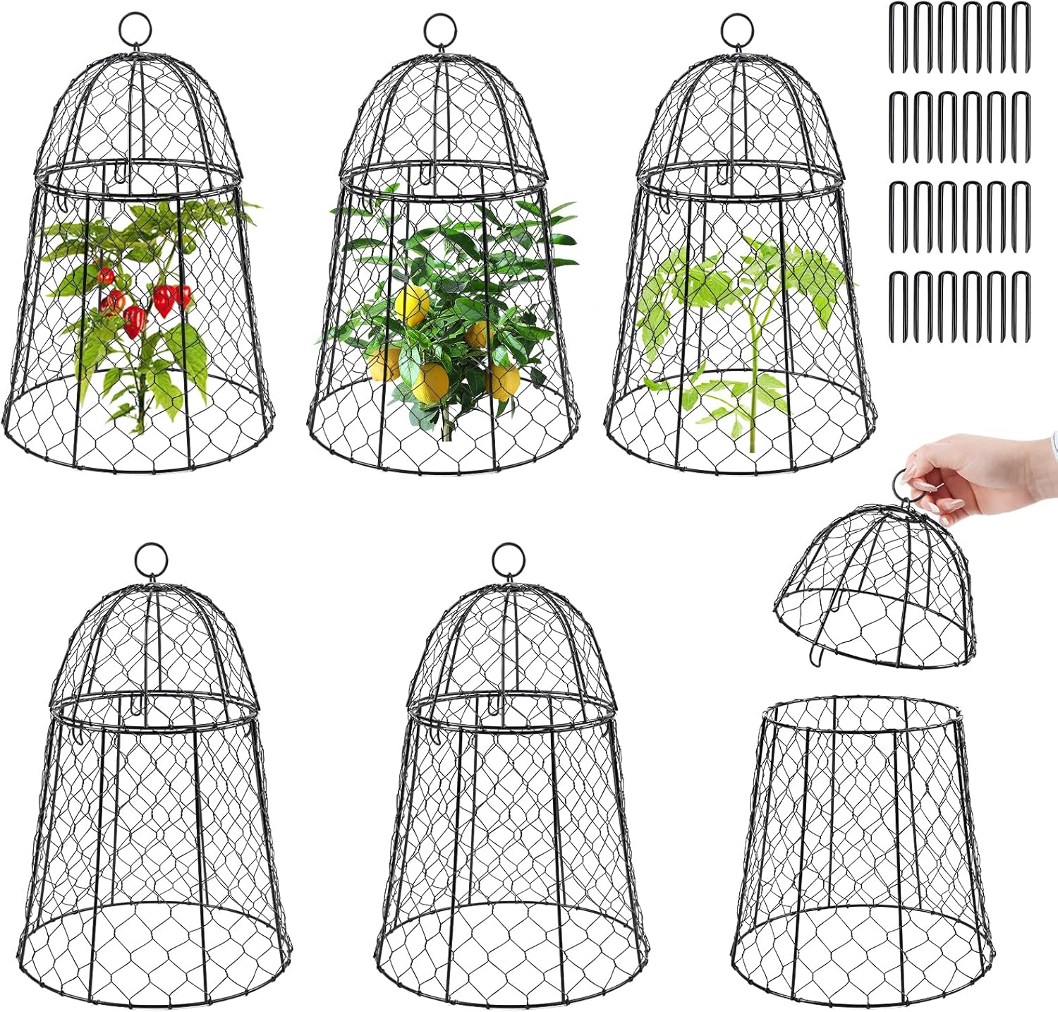 6 Pack Garden Cloches for Plants - Sturdy Animal Protectors