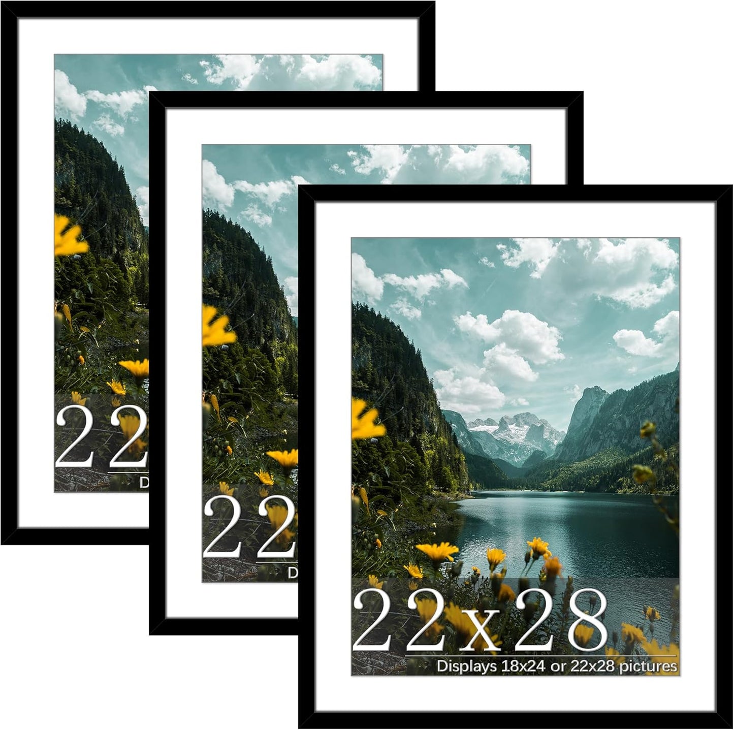Picrit 22x28 Frame 3 Pack: Flexible Black Poster Frame