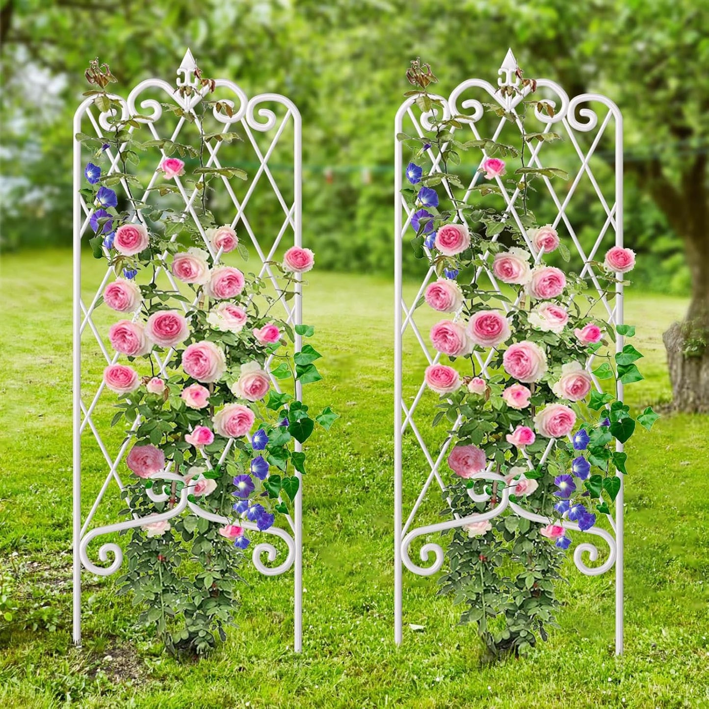 Elegant 60in Garden Trellis for Climbing Plants Outdoor Use
