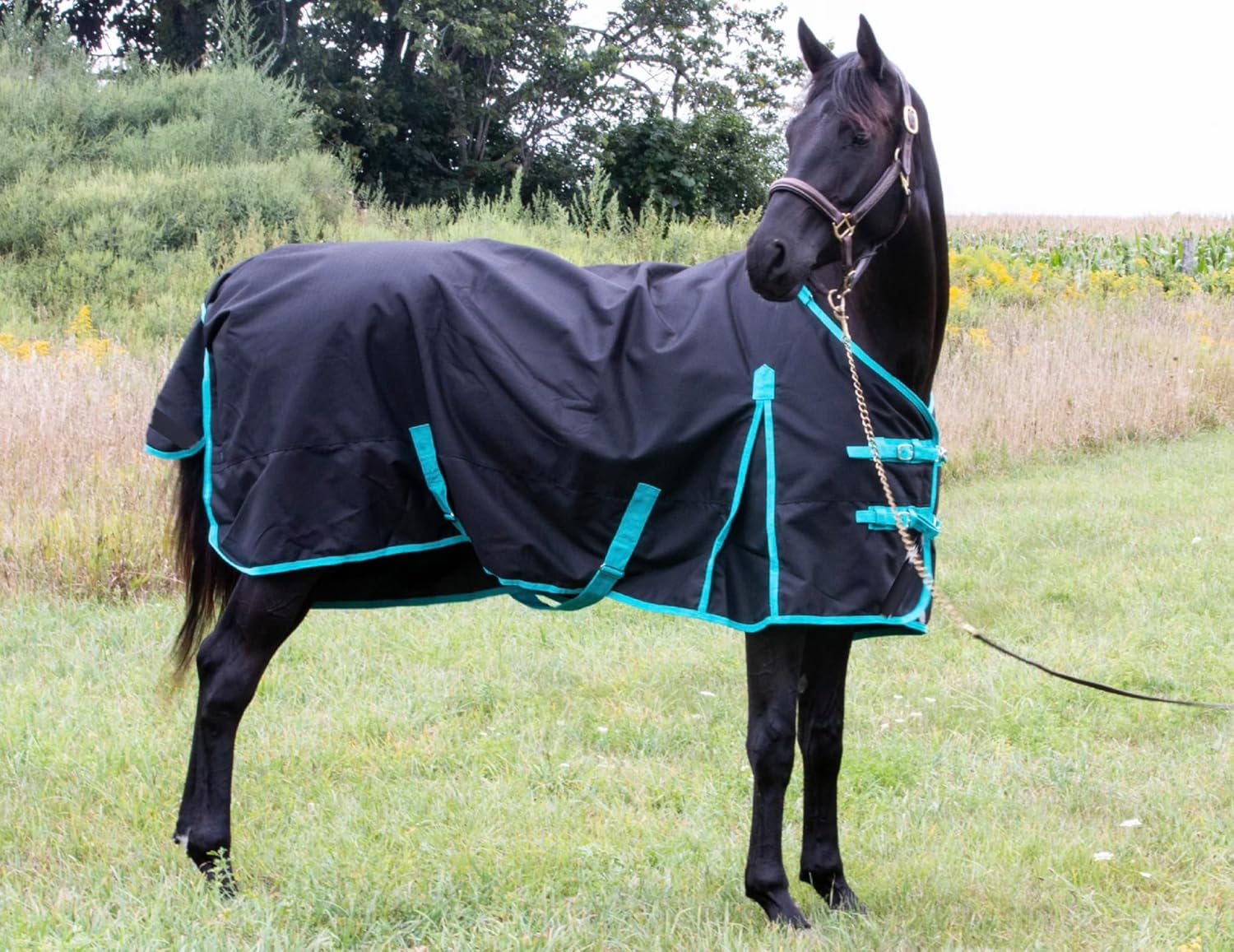 Horse Winter Blanket 300GSM Waterproof Breathable Heavy Duty