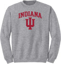NCAA Arch Logo Team Color Crewneck - Comfortable Campus Staple