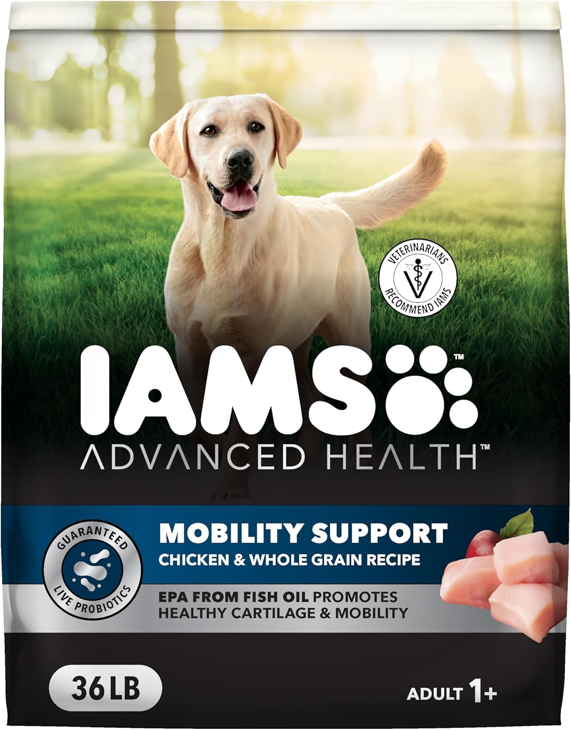IAMS Advanced Health Mobility Support for Active Dogs 36 lb