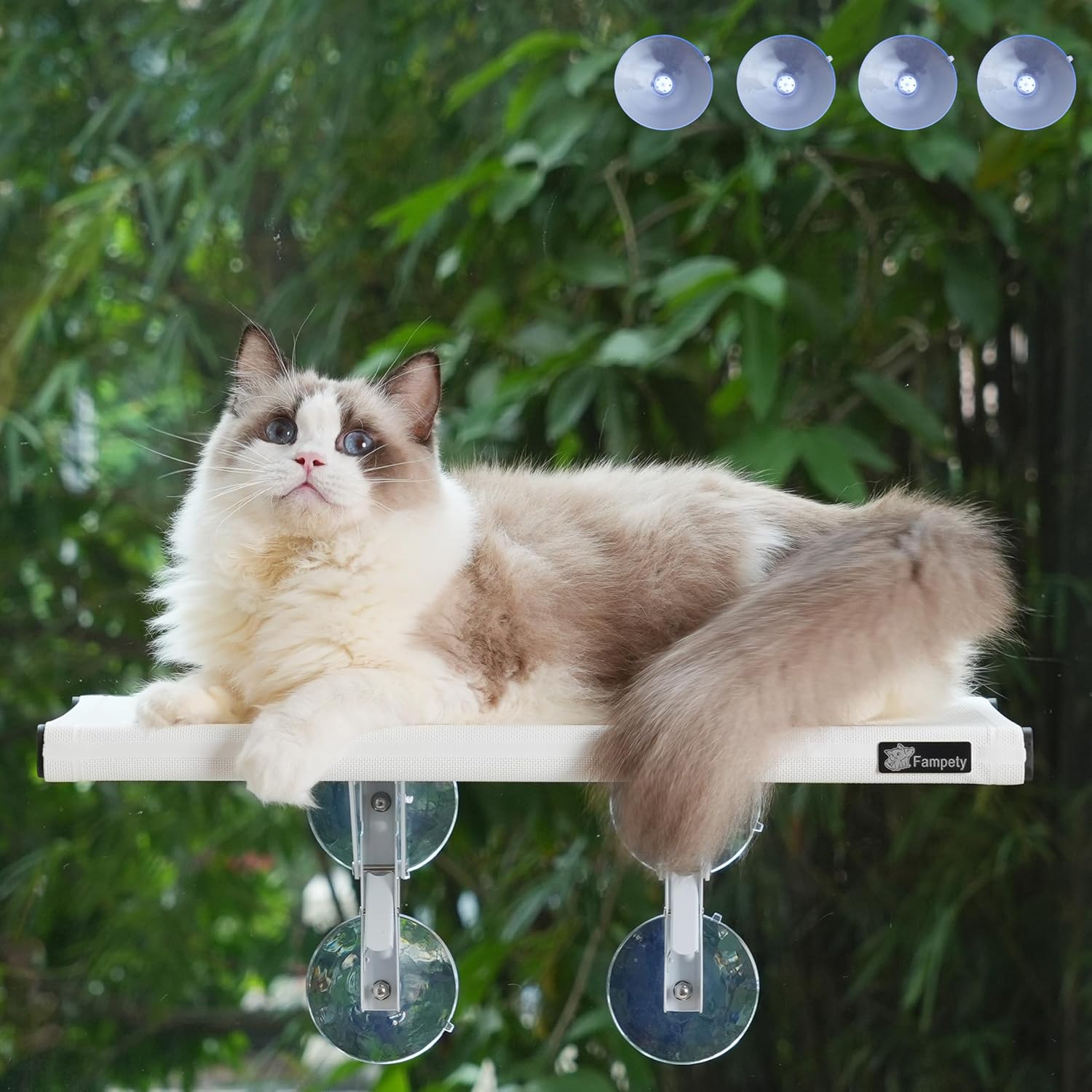 21 Large Cat Window Perch for Comfort and Safety at Home