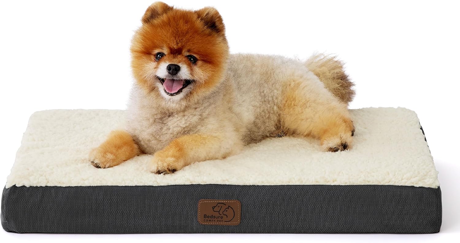 Comfy Flat Puppy Beds for Small Dogs with Orthopedic Foam