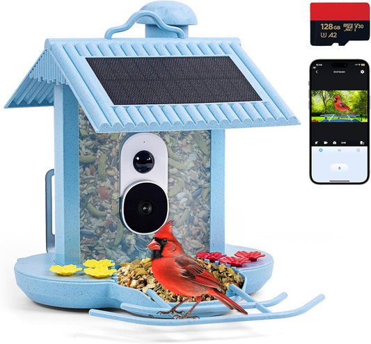 Smart Bird Feeder: Capture Birds in HD