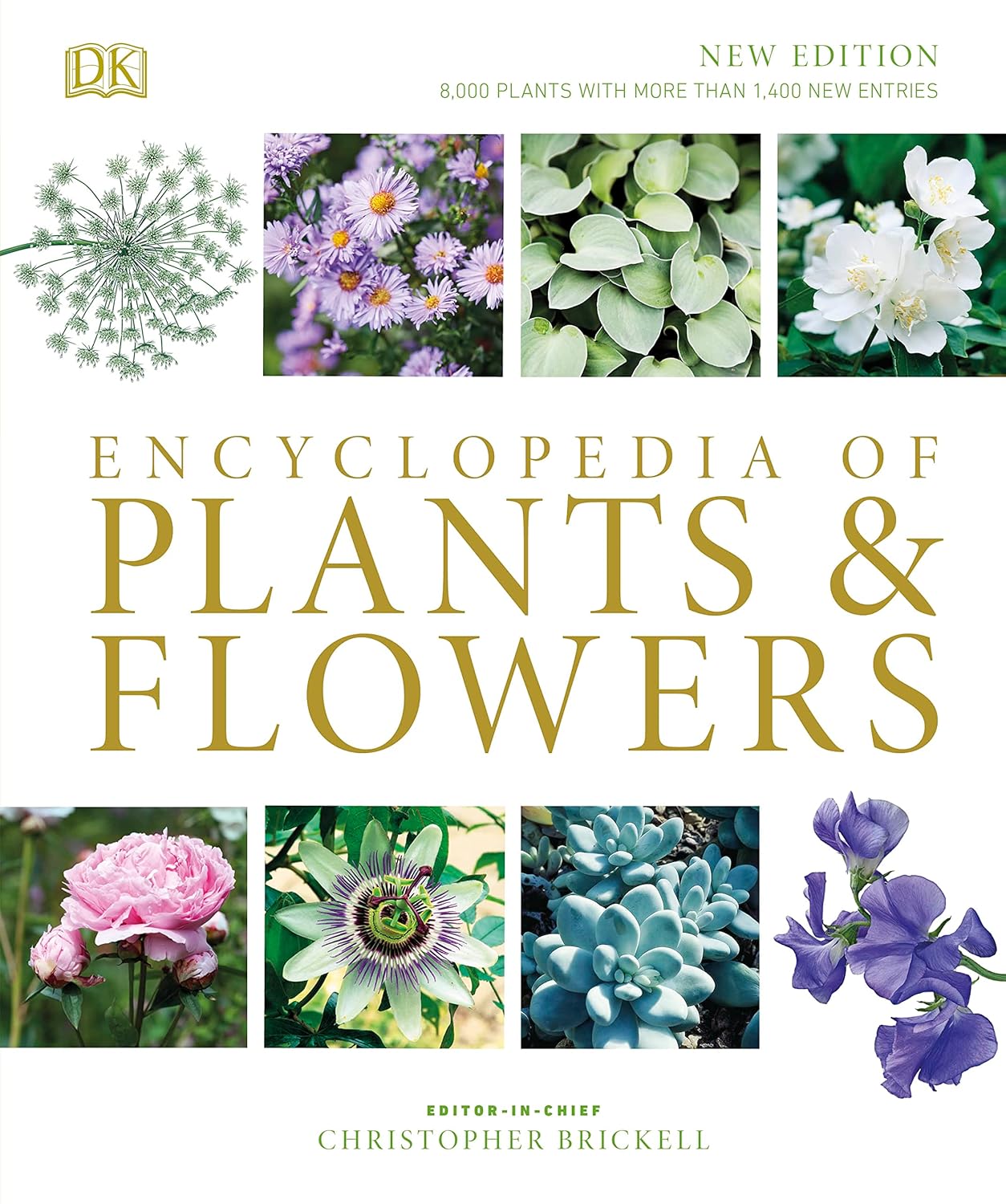 Encyclopedia of Plants and Flowers: A Comprehensive Guide