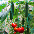 Trellis Netting for Climbing Plants - Heavy Duty Garden Support