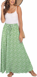 Chiffon Women Flowy Long Skirt - Pleated High Waisted Maxi