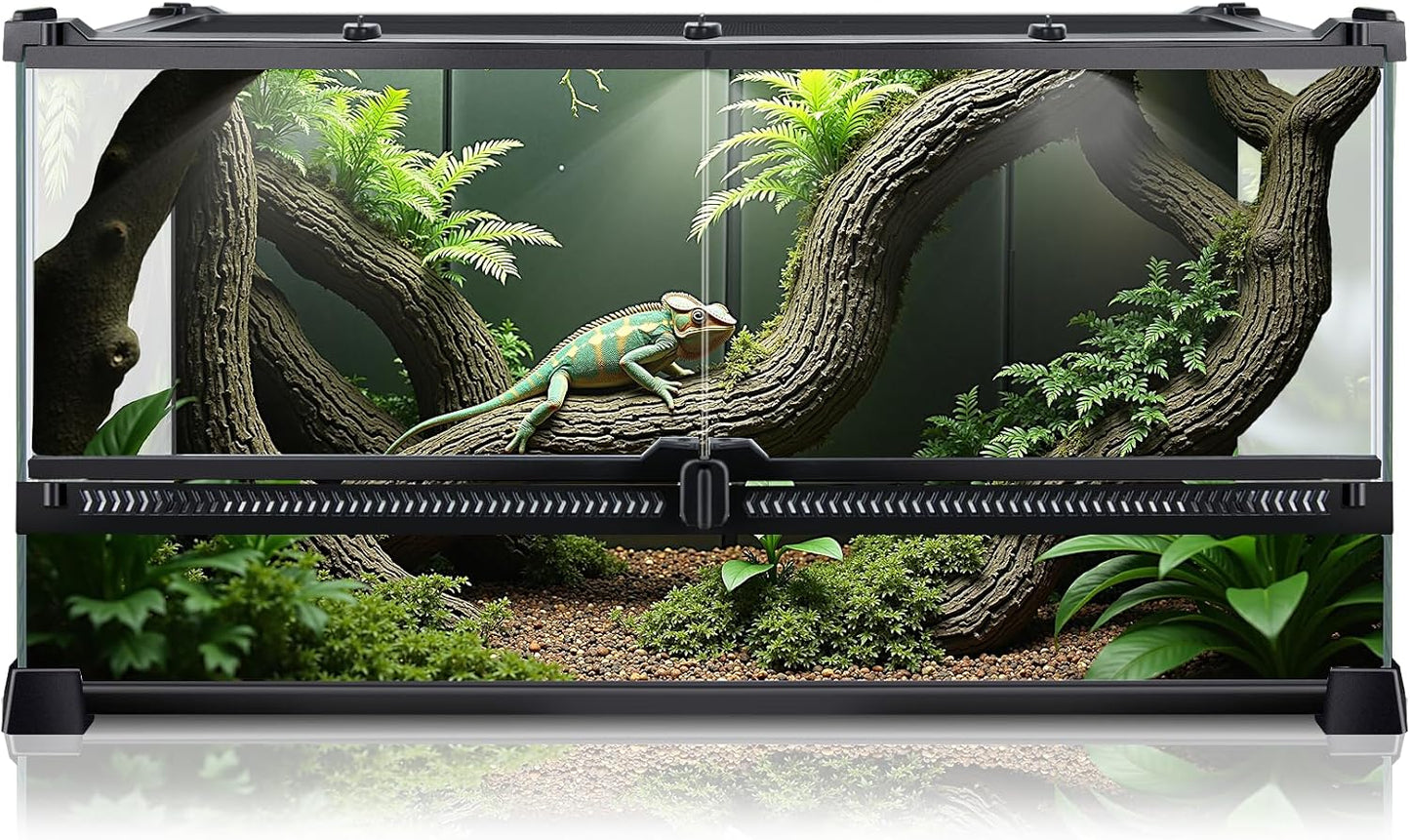 Reptile Terrarium 20x12x10 for Small Reptiles and Invertebrates