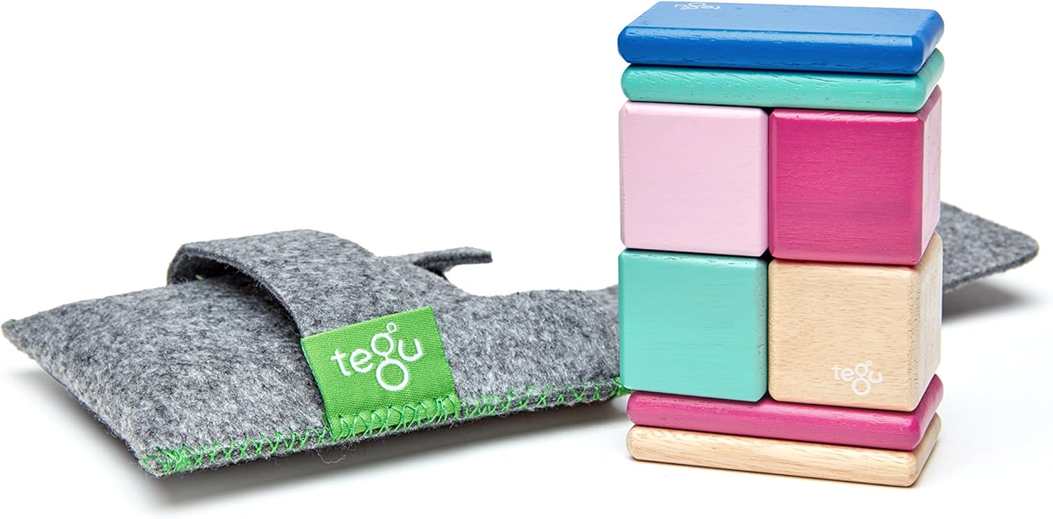 8 Piece Tegu Pocket Pouch Magnetic Wooden Block Set for Kids