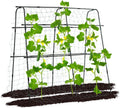 Garden Trellis for Climbing Plants Outdoor 5.3x5.3ft - Vertical