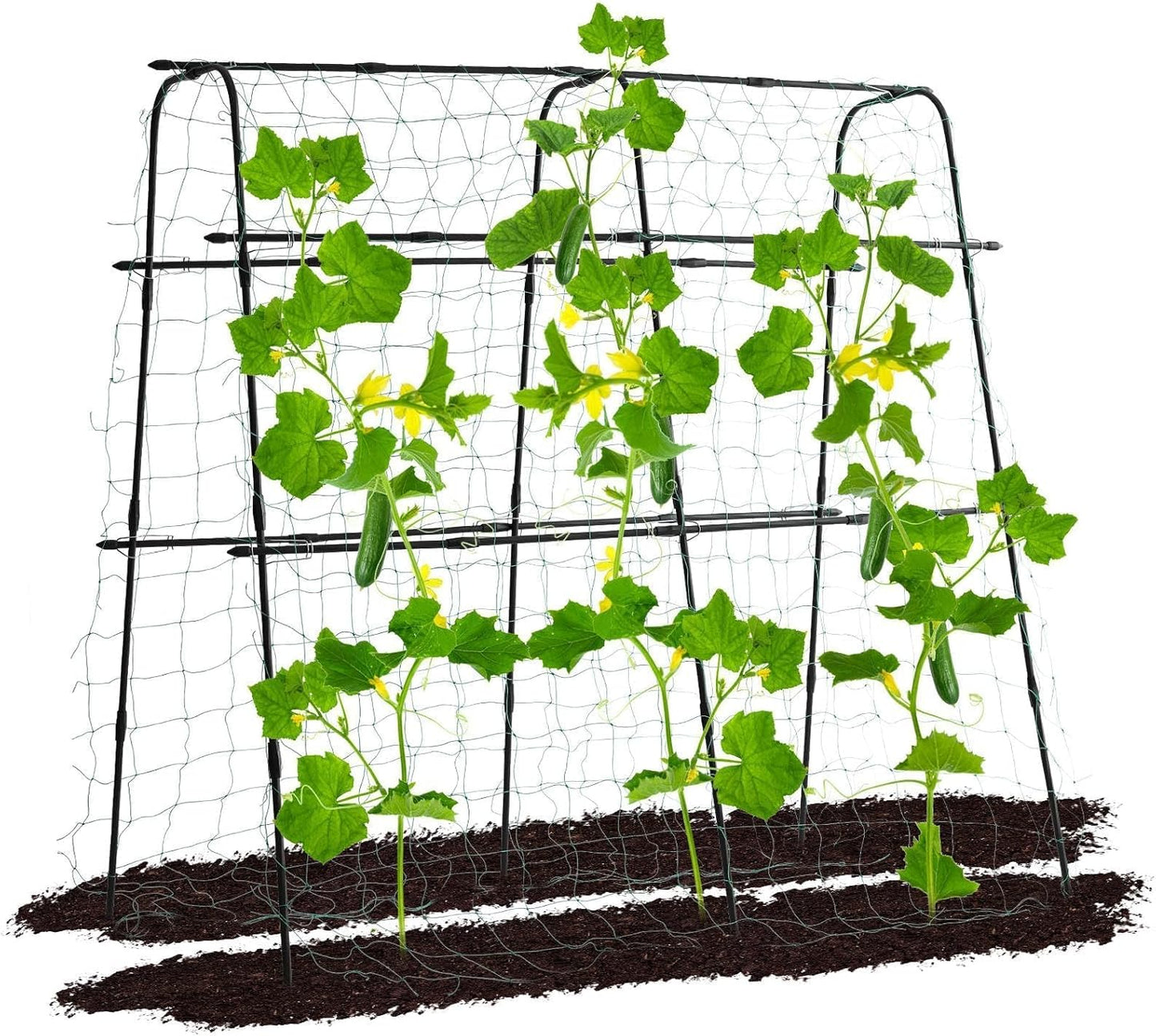 Garden Trellis for Climbing Plants, 5.3x5.3ft Support Frame
