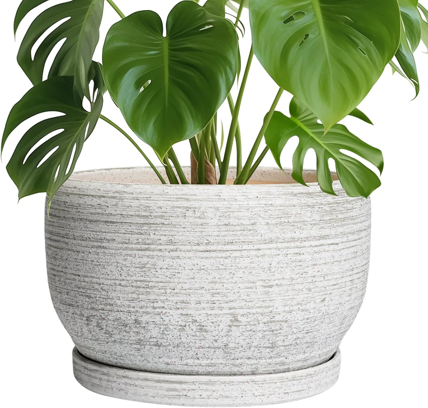 SQOWL Ceramic Flower Pots - 10 Inch Indoor Planter with Saucer