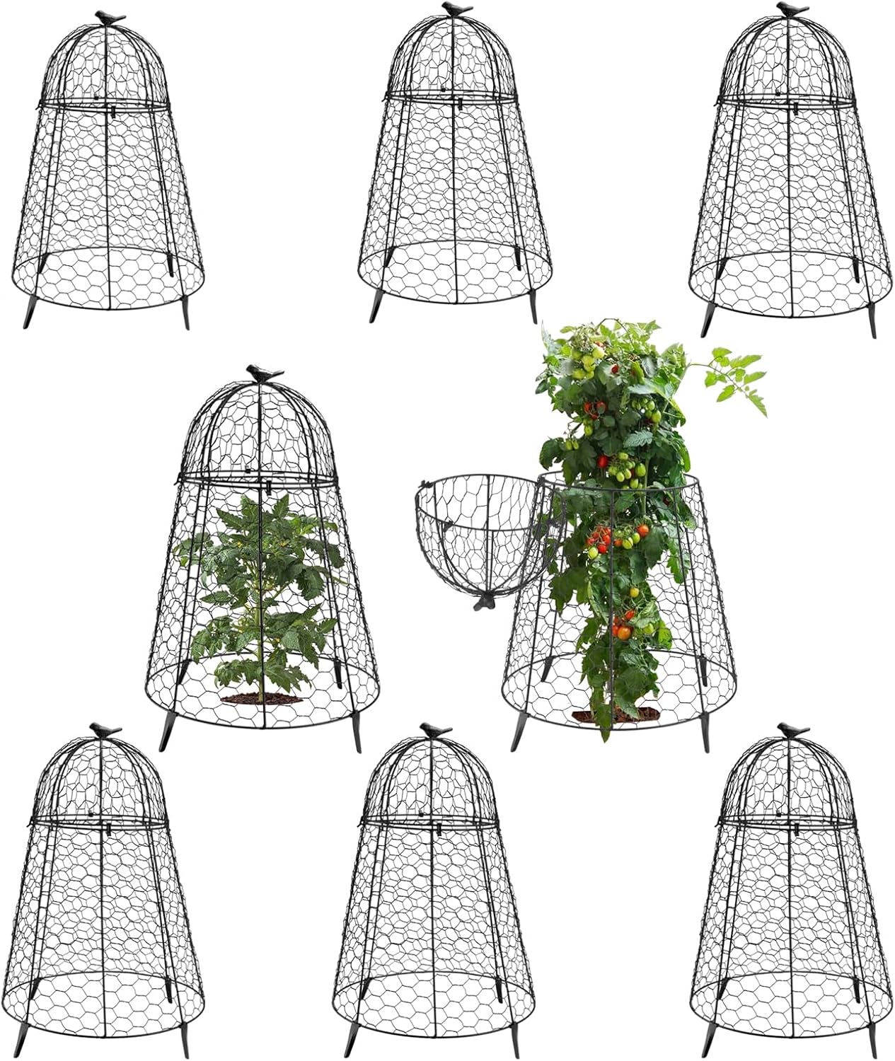 Plant Protector Chicken Wire Cloche for Garden Protection