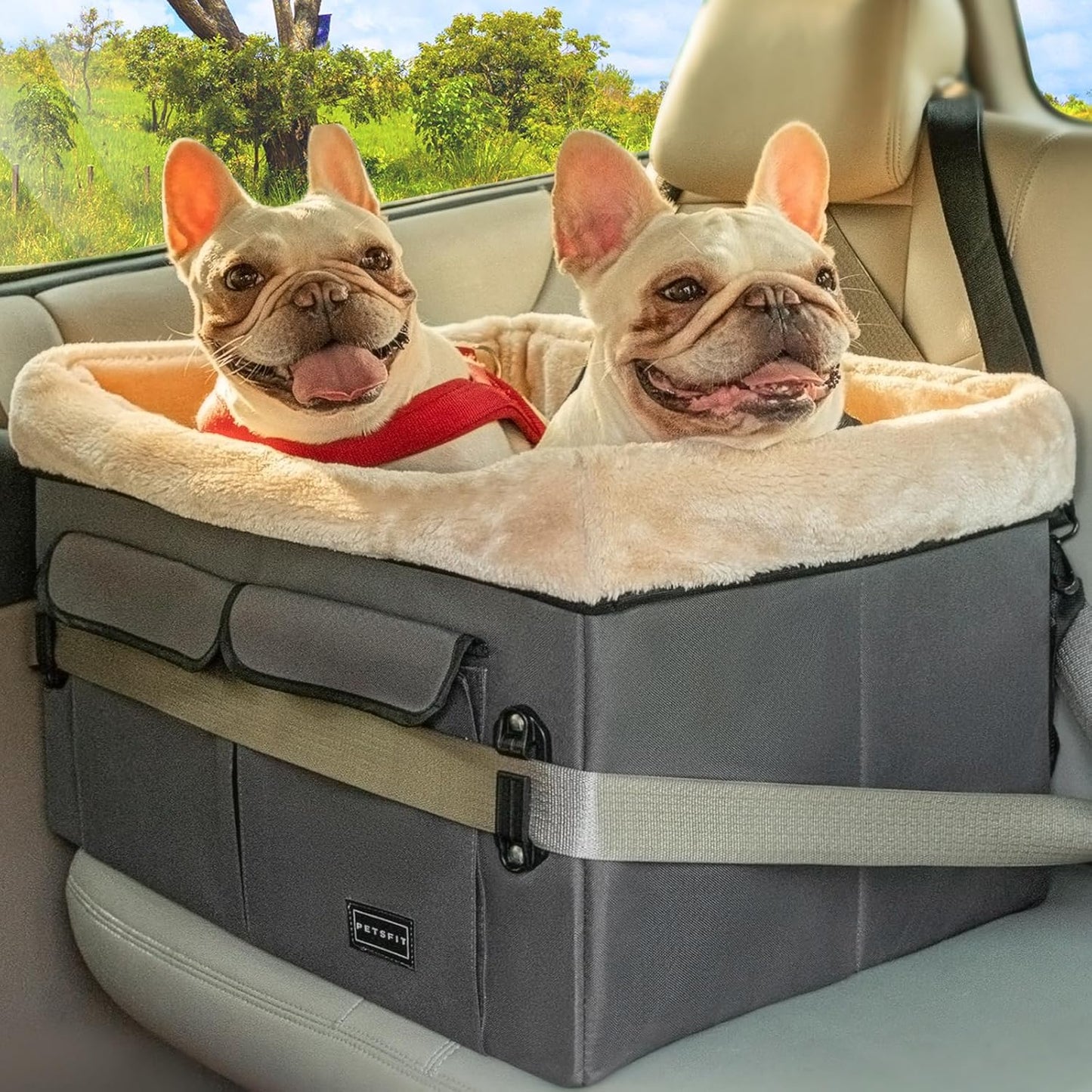 Petsfit Upgraded Dog Car Seat for Safe Travel