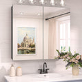 TokeShimi 30 x 26 Surface Mount Medicine Cabinet Mirror - Lightweight