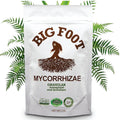 Big Foot Mycorrhizal Fungi Granular for Transplants - Boost Growth