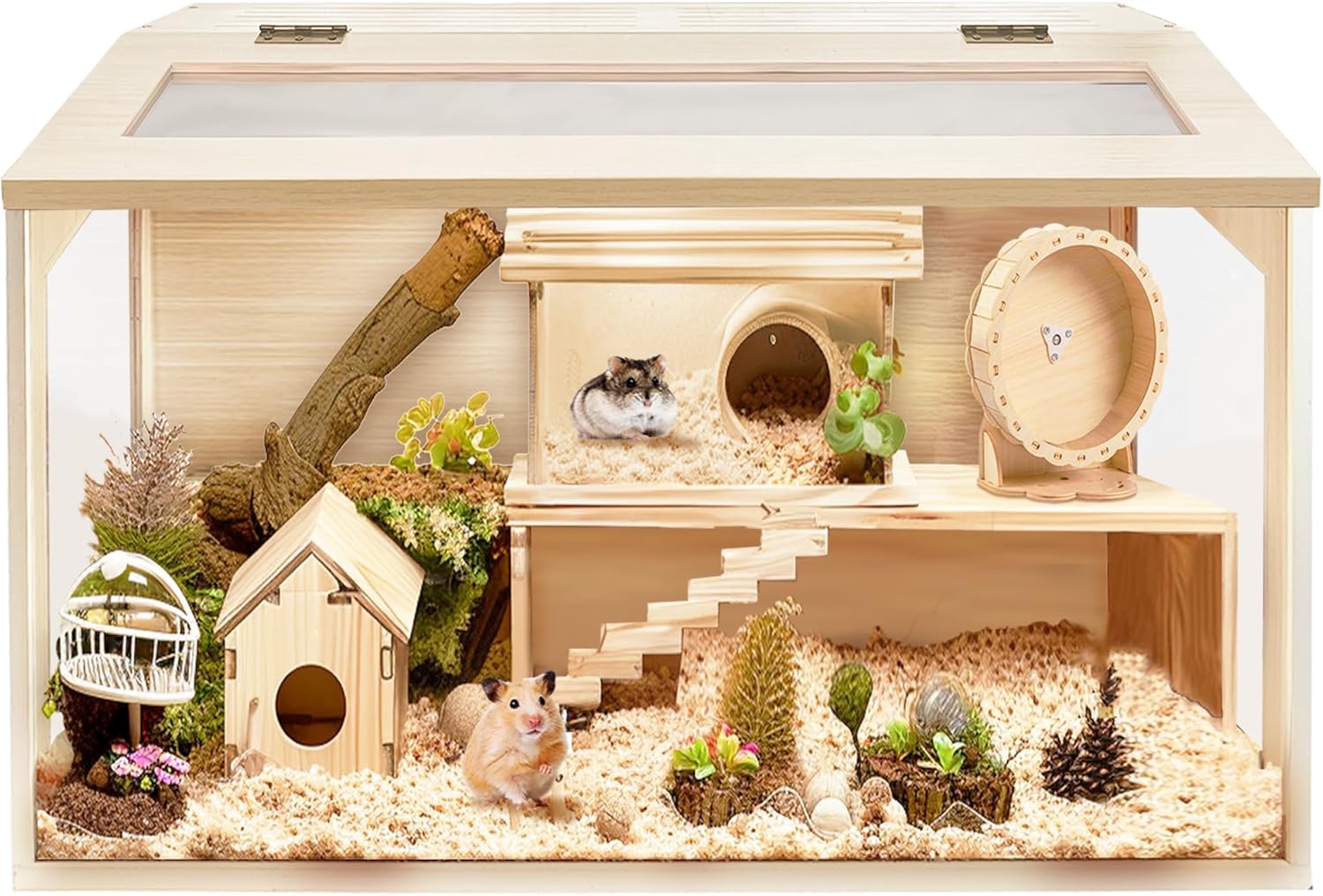 Prolee Hamster Cage Chew Proof Habitat with Openable Top Design