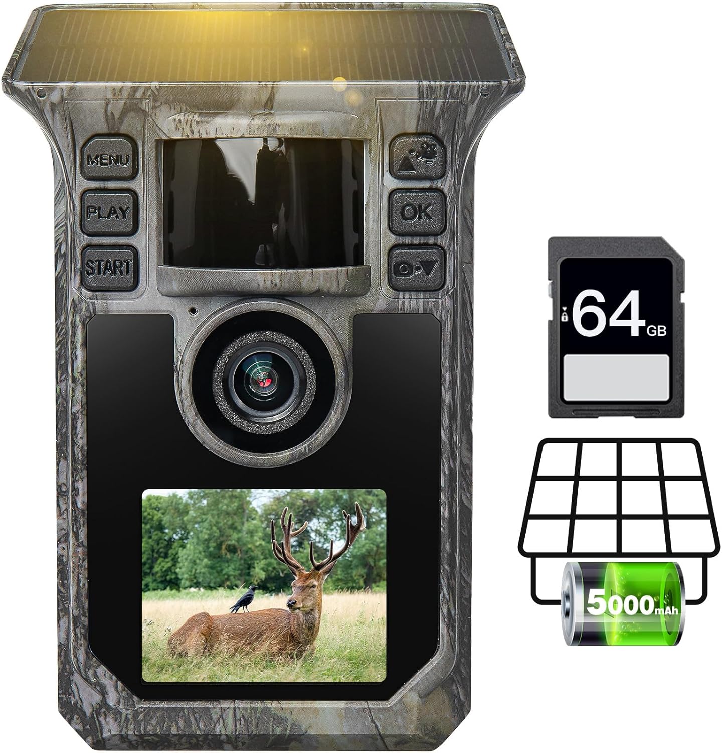 Ultimate Wildlife Spy Cam - 4K Solar Power