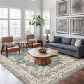Washable 6x9 Area Rug for Living Room - Vintage Soft Carpet