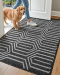 DEXI Front Door Mats for Entryway - Absorbent Low-Profile 3ftx5