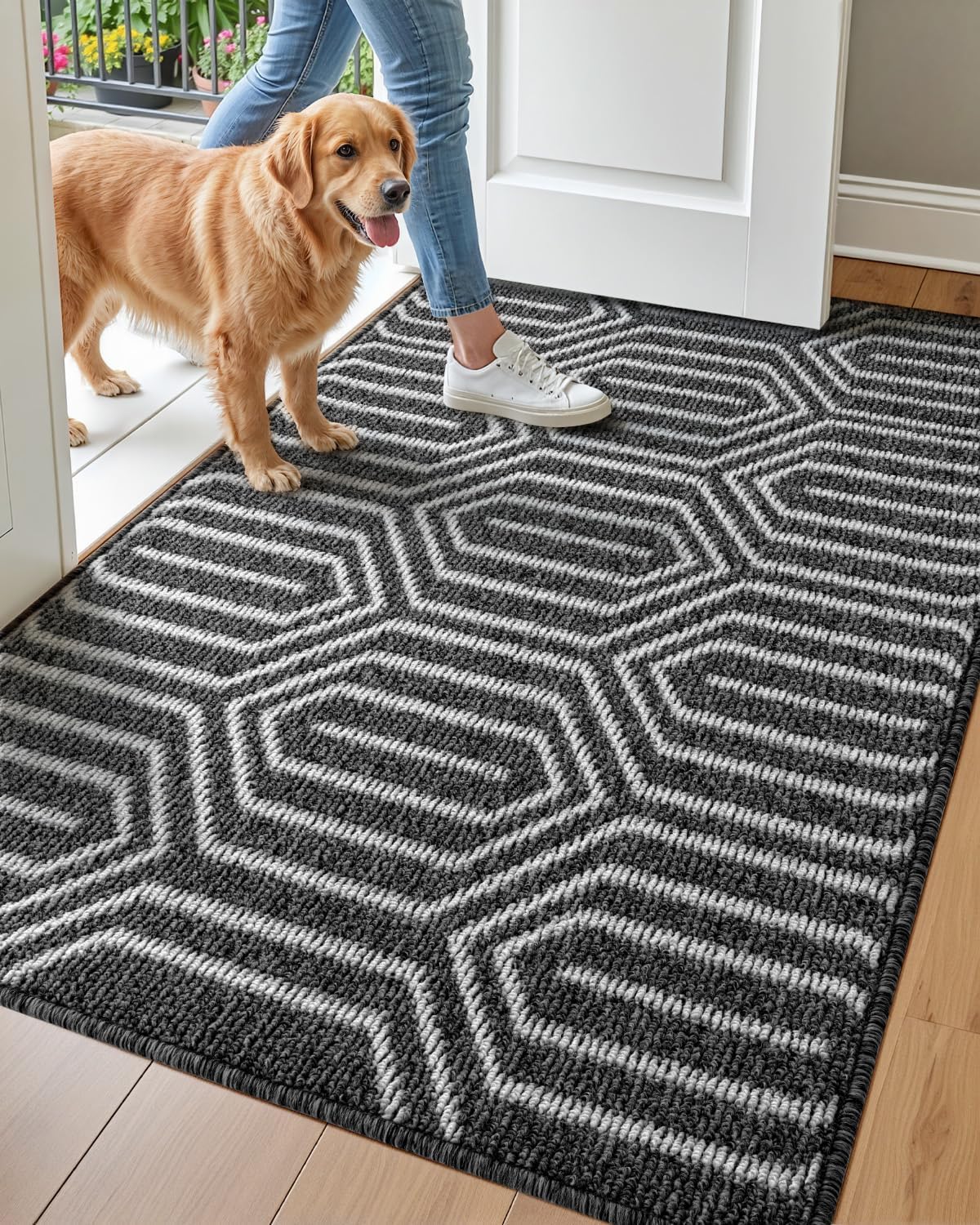 DEXI Non Slip Washable Entry Doormat for Front Door 3ftx5ft