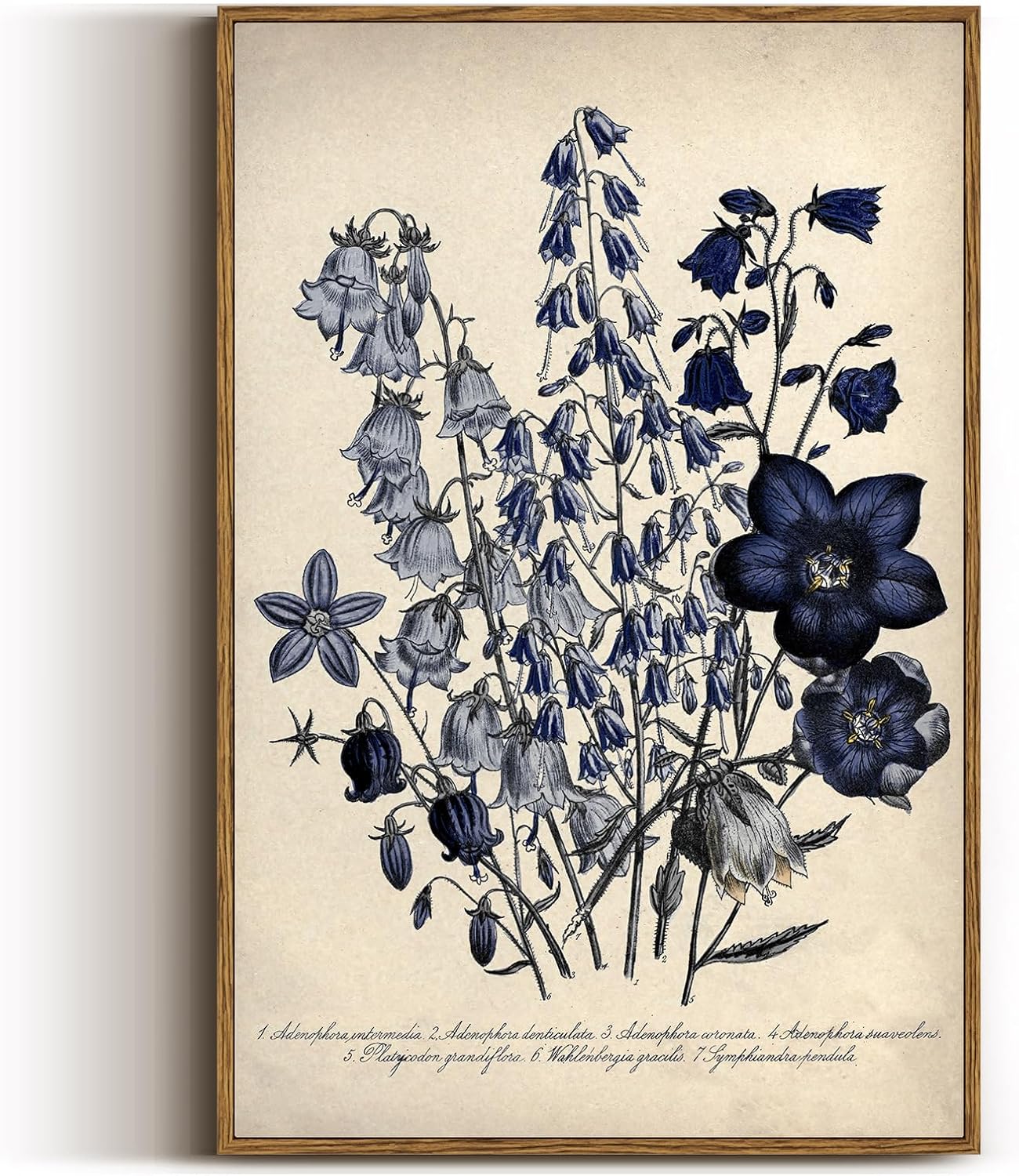 VIYYIEA Vintage Framed Botanical Wall Art for Home Decor