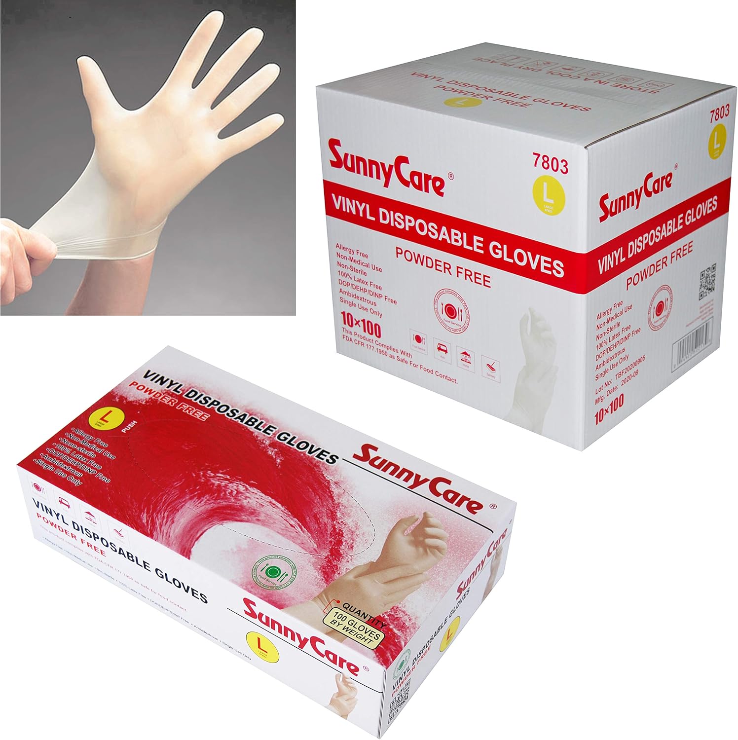 1000 Large Powder-Free Disposable Gloves by SunnyCare