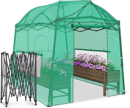 Portable Walk-in Greenhouse: Pop-up, Durable PVC Cover