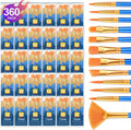 Paint Brushes Set 30 Pack 360 Pcs - Versatile Artist Kit for All