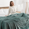 Heated Blanket Queen Size with 5 Heat Levels for Cozy Comfort