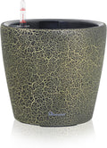Dexceder Self-Watering Planter for Indoor and Outdoor Gardening
