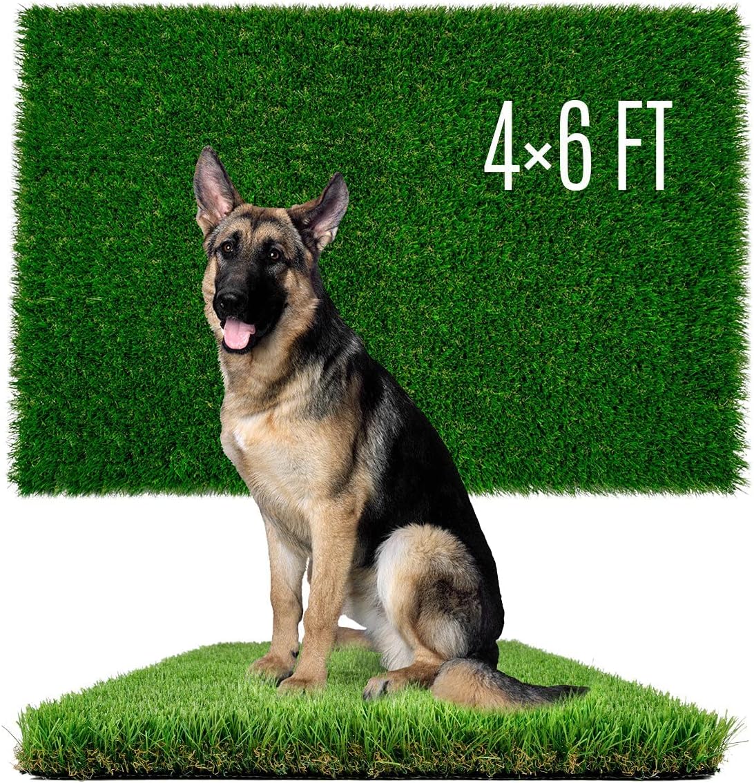 Artificial Grass for Dogs - Perfect Potty Training Solution