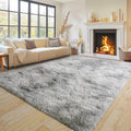Super Fluffy Area Rug for Living Room, Soft Plush 5x7 Feet