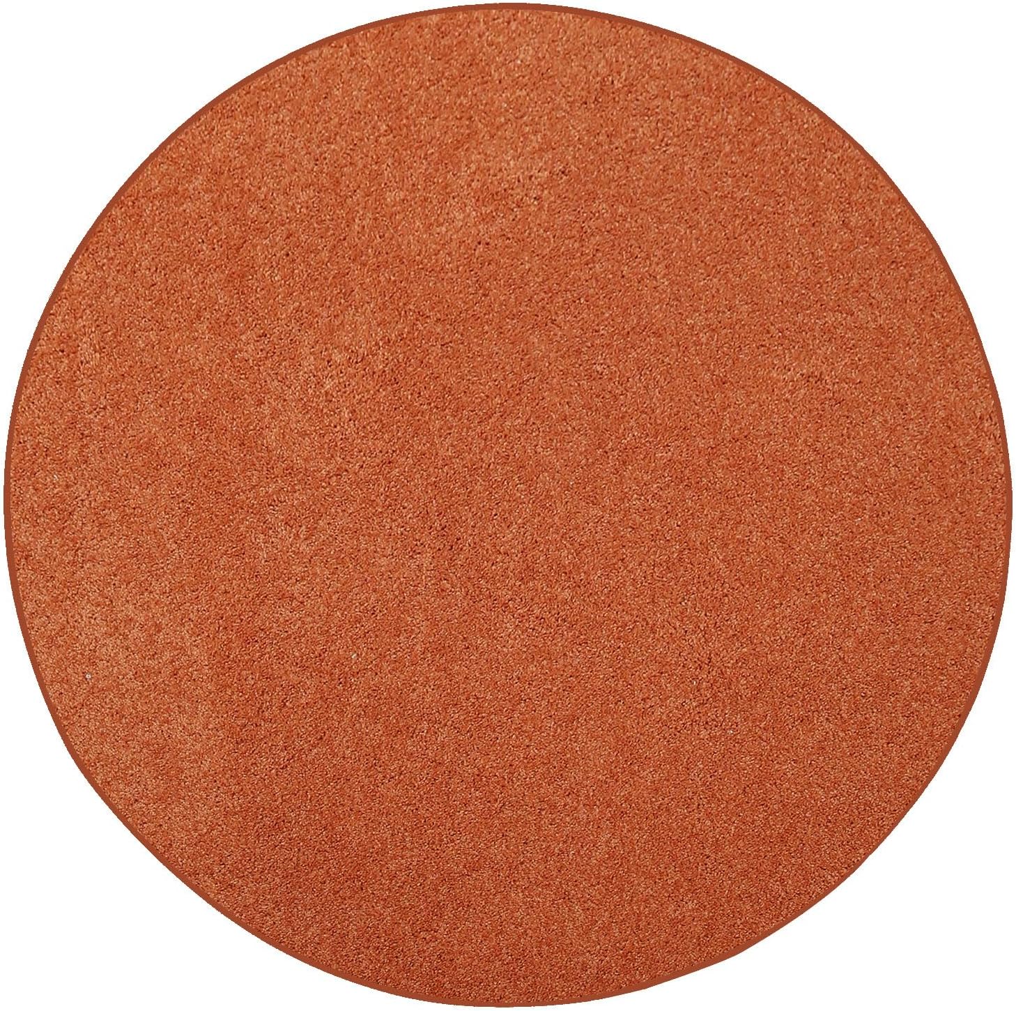 Ambiant Pet Friendly Solid Color Area Rugs for Modern Homes