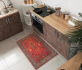 Machine Washable 2x3 Rug - Low Pile Non-Slip Entry Rug