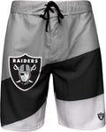 Men's Color Dive Team Logo Boardshorts - Washington Commanders