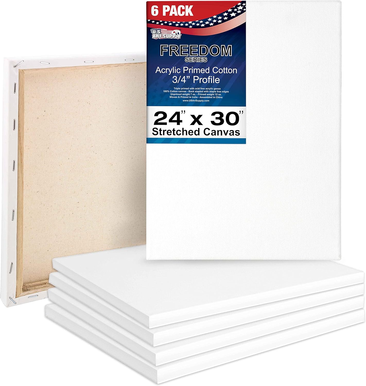 Professional Artist Quality Stretched Canvas 6-Pack for Painting